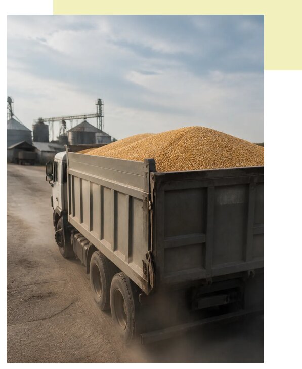 Перевозка сельхозпродукции навалом в Надым по цене от 3113 р. | Агросервис-Ндм